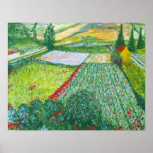 Gebied met Papavers Posters