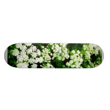 Gebied van het Kant van Koningin Anne Skate Decks