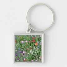 Gebloeide aanvankelijk keychain sleutel hangers