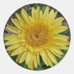 geel madeliefje sticker