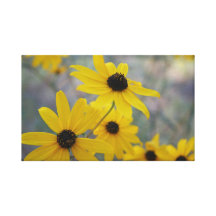 Geel Madeliefjes Verpakt Canvas Stretched Canvas Print
