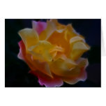 Geel nam met roze en het betekenen toe kaarten