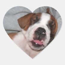 Gekke Puppy Hartvormige Stickers