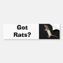 Gekregen Ratten? Kreeg, Ratten? Bumpersticker