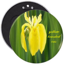 gele gebaarde irisknoop speldbuttons