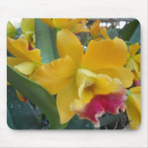 Gele Orchidee Muismatten