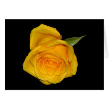 Gele Rosebud Wenskaart