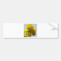 Gele Schoonheid Bumperstickers