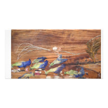 Gemigreerde Vogels Persoonlijke Fotokaarten