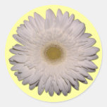 Gerber Daisy Stickers