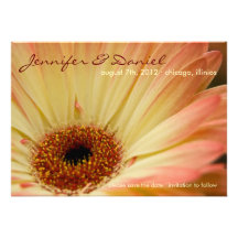 Gerbera d'abricot • Sauvez le faire-part de date