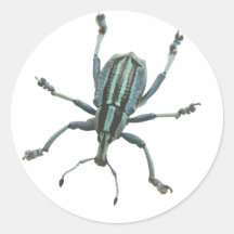 Geschilderde Graanklander Ronde Sticker