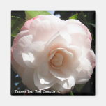 Gevoelig Bord - de roze Magneet van de Camelia