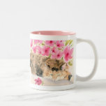 Gingembre la tasse de chat