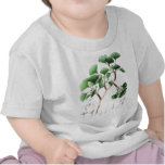 Ginkgo biloba - bébé Shirt T-shirt