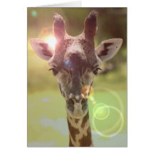girafe carte