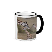 Girafe de Maasai (girafe Tippelskirchi) comme vu Mugs