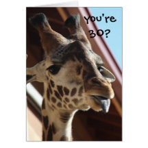 Girafe drôle d'anniversaire, vieux ami, 30ème carte