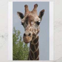 Girafe mignonne tract customisé
