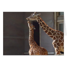 Girafe par moment intime cartes