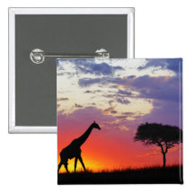 Girafe silhouettée au lever de soleil, Giraffa Badge Avec Épingle