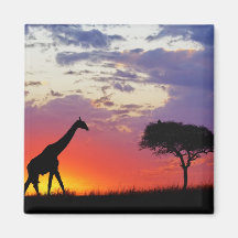 Girafe silhouettée au lever de soleil, Giraffa Magnets Pour Réfrigérateur