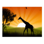 Girafe sur le mouvement cartes postales