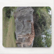 Girraffe Muismat
