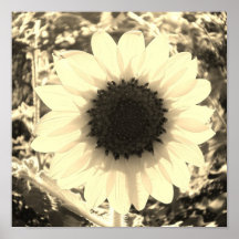 Glimlach bij de Zonnebloemen - de Druk van de Foto Afdruk