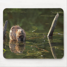 Glimlachende Bever Muismatten