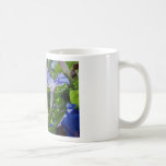 Gloire de matin X 2 Tasses