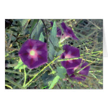 Gloires Cartes