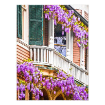 Glycines sur une maison du sud vintage dans la sav photographie
