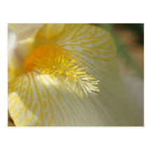 Goedemorgen, Iris! Wens Kaart