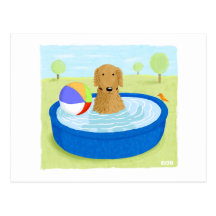 Golden retriever "été " carte postale