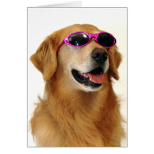 Golden retriever frais carte