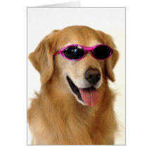 Golden retriever frais carte de vœux