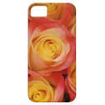 Gorgeous Roses iPhone 5 Cover