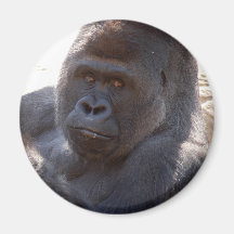 Gorilla_004 Aimant