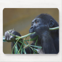Gorilla Muis Matten