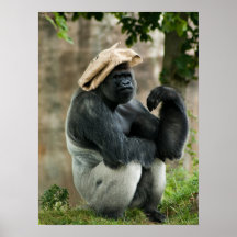 Gorilla Poster