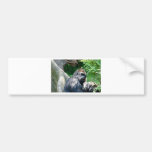 Gorille Autocollants Pour Voiture