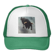 Gorras Dias De Fiesta