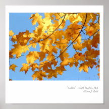 "Gouden " Posters