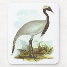 Gould - grue de Demoiselle - Vierge d'Anthropoides Tapis De Souris
