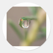Goutte de pluie adhésifs ronds