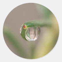 Goutte de pluie rouge de bout adhésifs