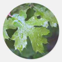 Gouttes de pluie de feuille de feuille adhésifs ronds