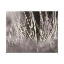 Gouttes de pluie végétales impressions sur toile
