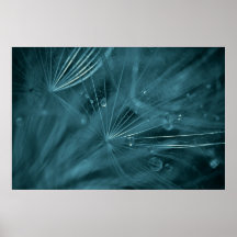 Gouttes de pluie végétales posters